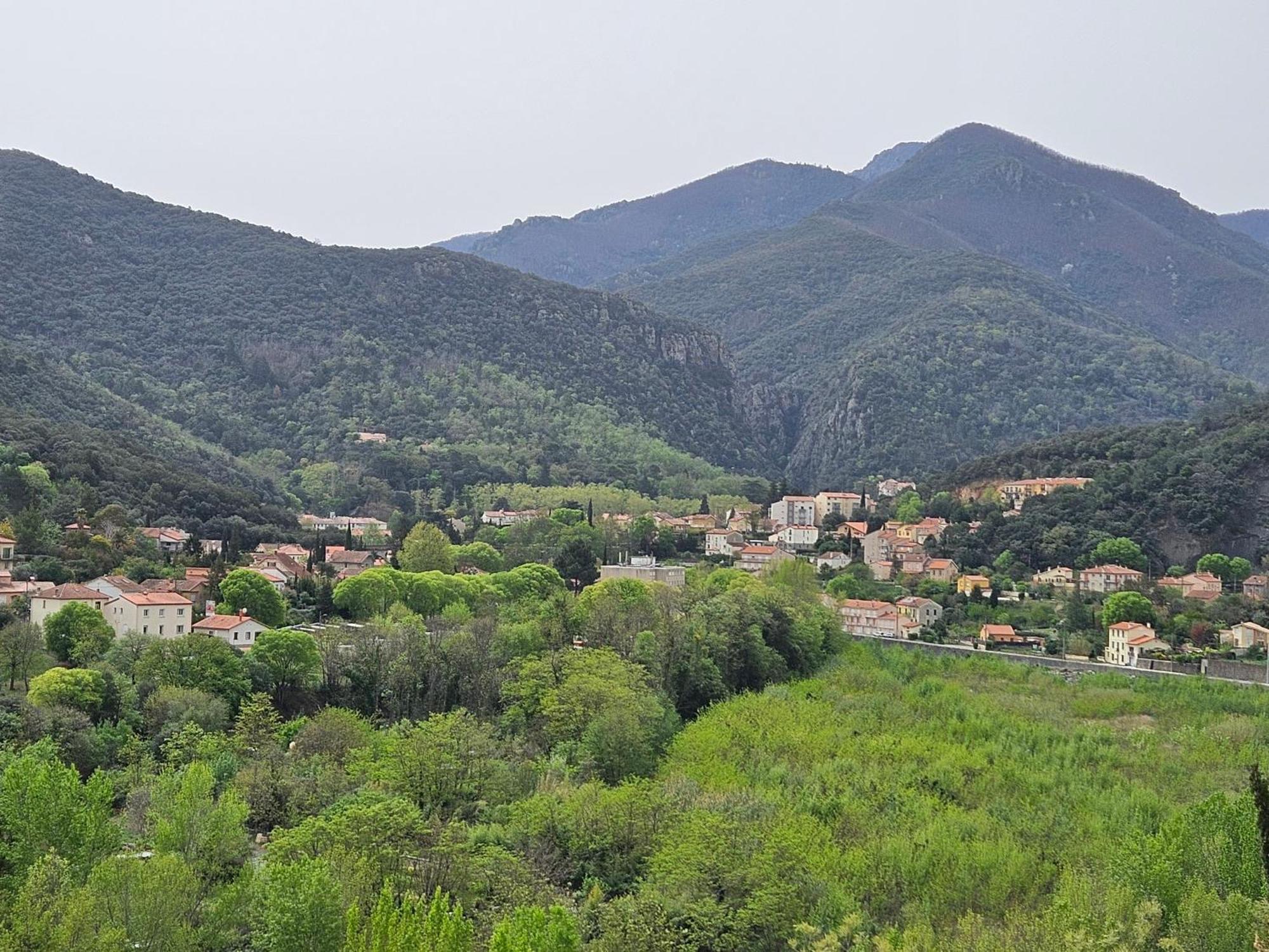 Appartement A Beholding Sight Amelie-les-Bains-Palalda Bagian luar foto